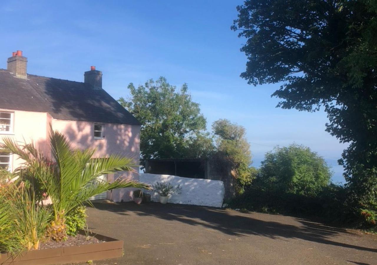 The Pink Cottage Upstairs Suite & Garden Summer Room Whitehead Esterno foto