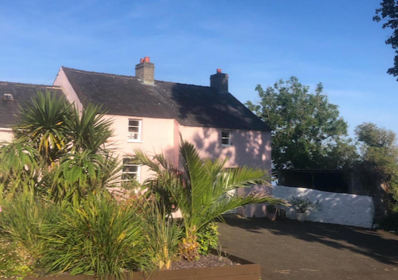The Pink Cottage Upstairs Suite & Garden Summer Room Whitehead Esterno foto