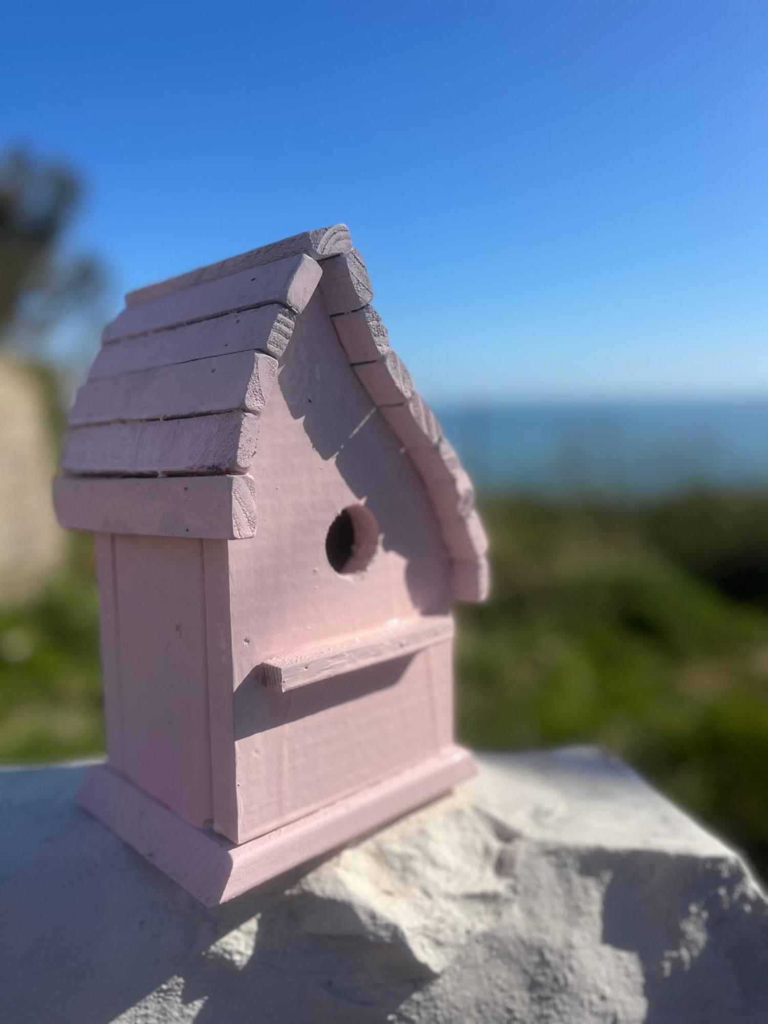 The Pink Cottage Upstairs Suite & Garden Summer Room Whitehead Esterno foto